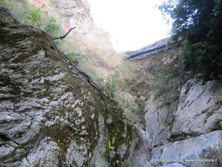 stoleone-31-08-2015 09-10-04